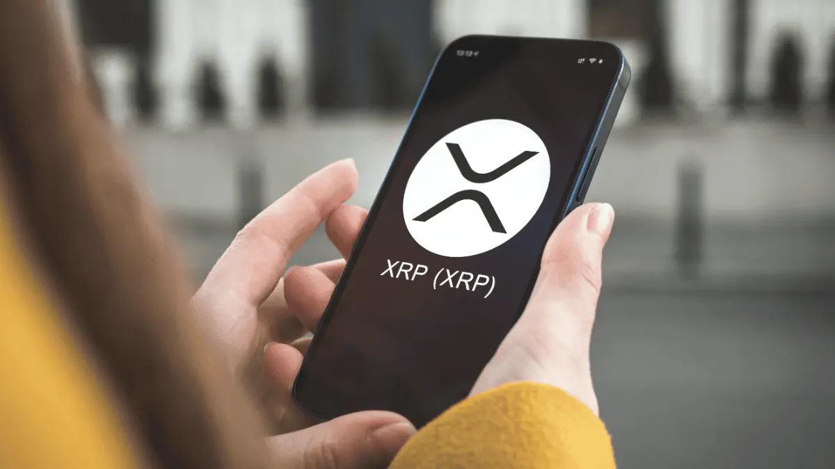 Nederland koopt: XRP nadert koppositie bij nieuwe Bitvavo-gebruikers